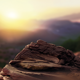 background Teak terea tranzitie